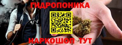 бошки Краснодар